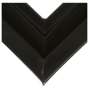 AllPoints 8115760 Gasket Glass Door Sts 51.25x25.75x0.5