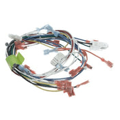 Vulcan Hart 00-858579-00022 Harness Wiring