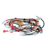 Curtis WC-13303-101 Harness Assembly Cafe 2db For Ele