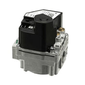 York S1-02546611000 Vlv Gas Natural Gas Wr 36h55 405