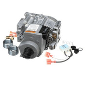 York S1-VR8345M4302 Valve Gas Natural Gas