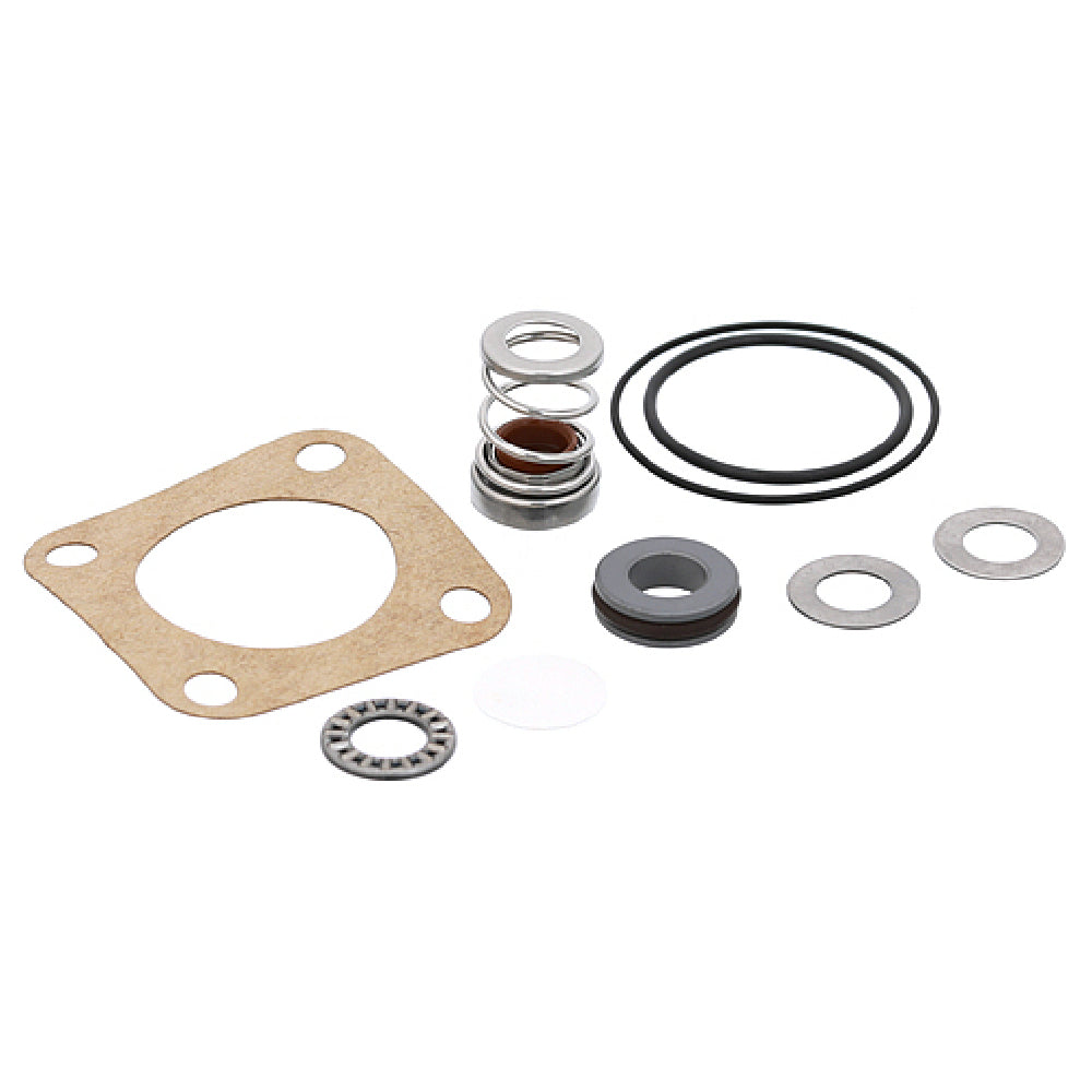 AllPoints 8400164 Pump Seal Kit