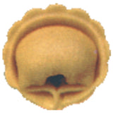 Arcobaleno Pasta Equipment MOLD-CAP-B1C Cappelletti Mold #3 Scalloped Edge For ACAP250