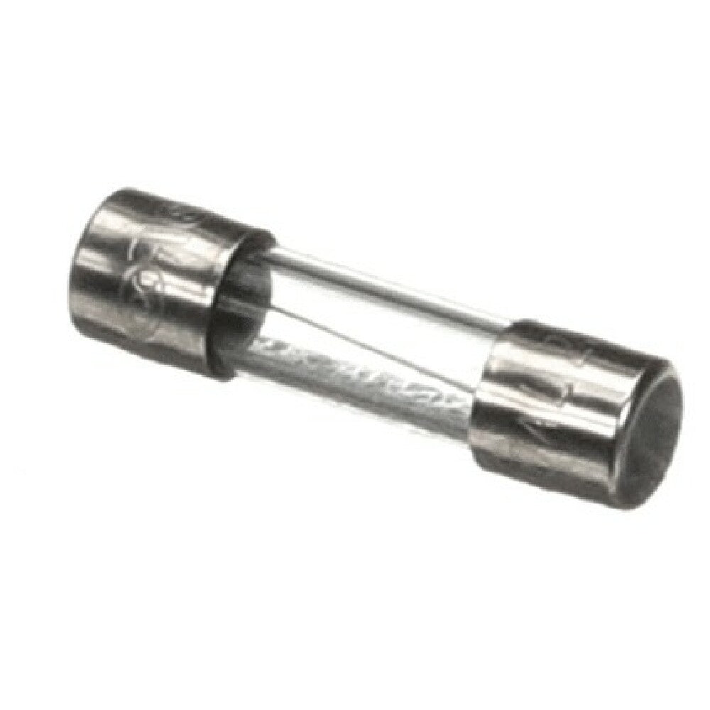 Silver King 34236P Fuse 10 Amp