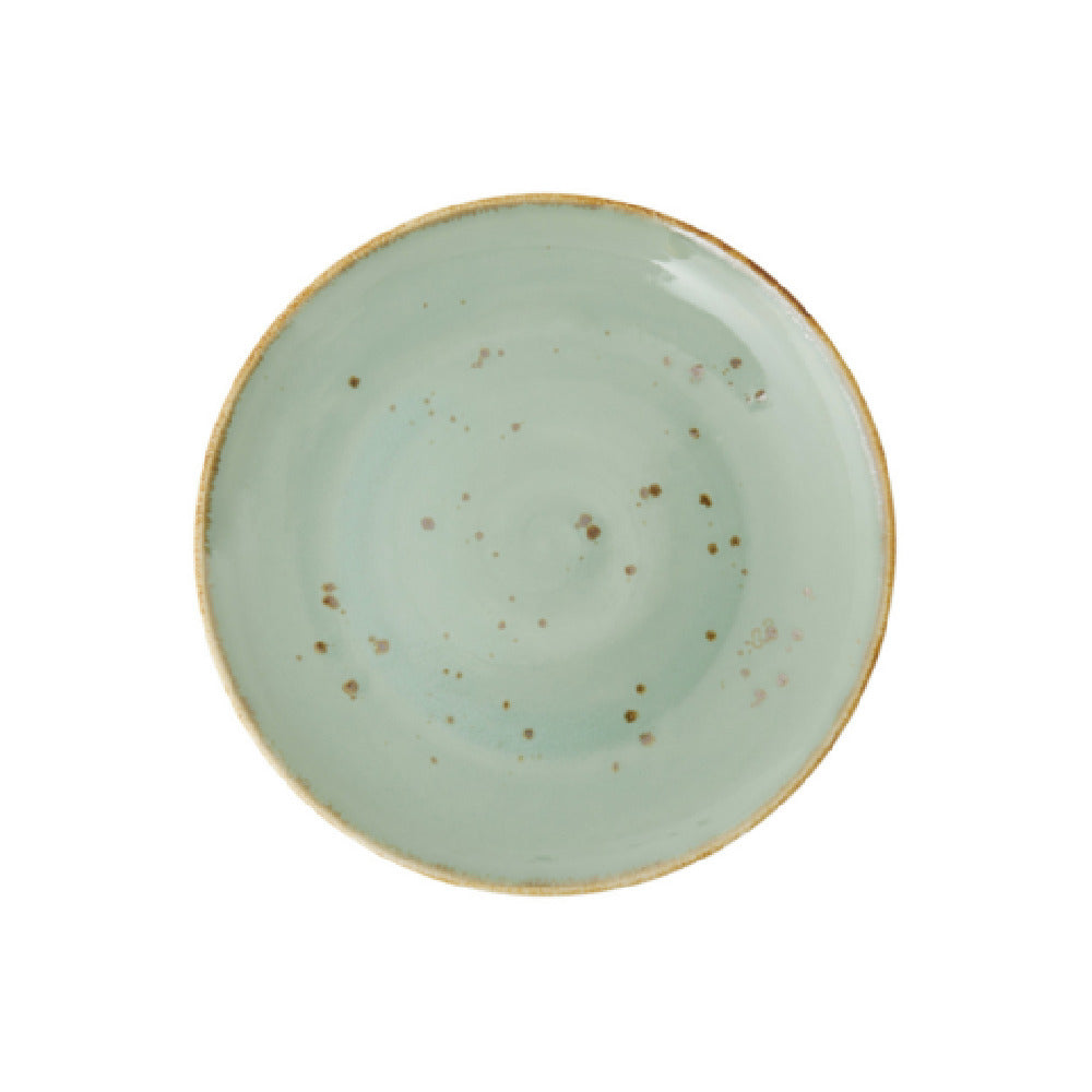 Fortessa TC7300.DV.5.803 Erthe Celadon Plate 10.75" (27.5cm) Coupe