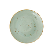 Fortessa TC7300.DV.5.803 Erthe Celadon Plate 10.75" (27.5cm) Coupe