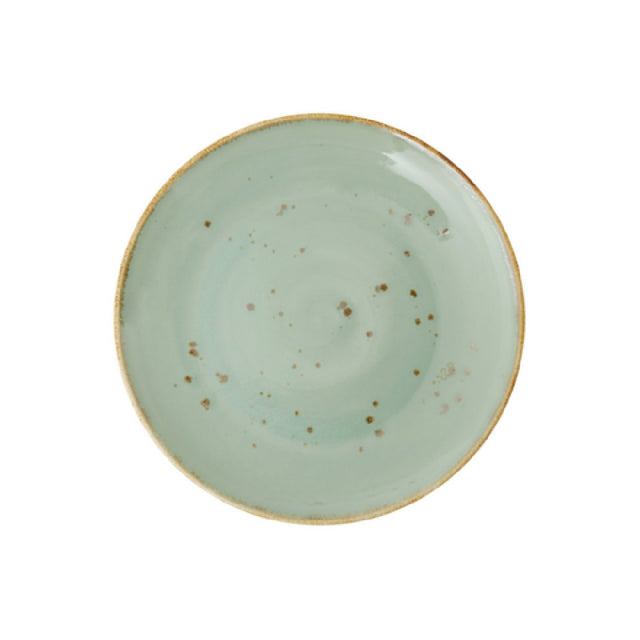 Fortessa TC7300.DV.5.803 Erthe Celadon Plate 10.75" (27.5cm) Coupe