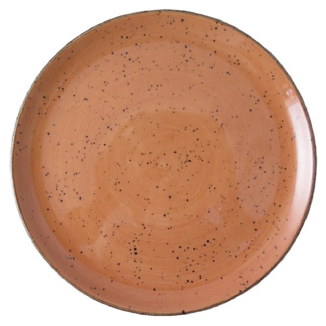 Tableware Solutions USA 29FUS332-04 Plate 9" Round