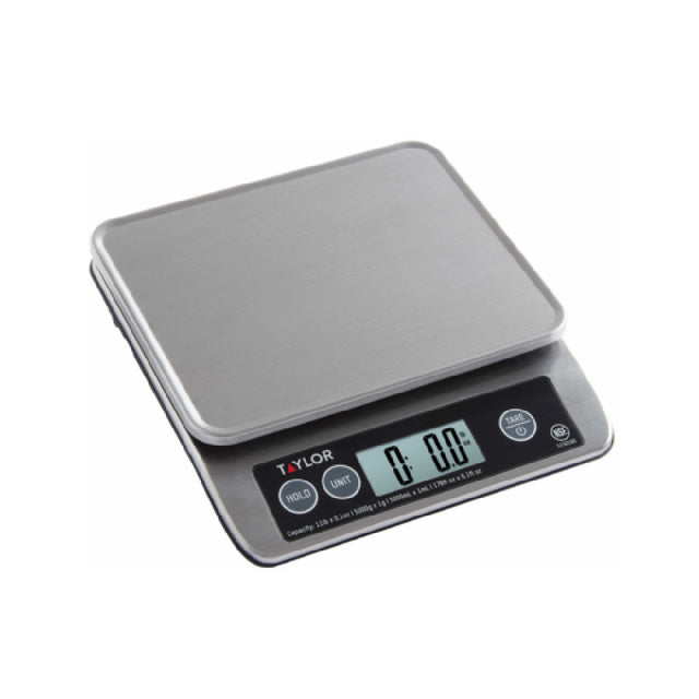 Taylor 5330590 Stainless Steel Scale With Adapter