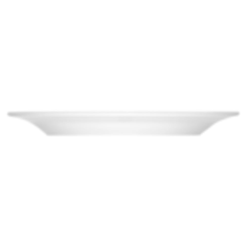 BauscherHepp 110025 Plate 10-1/10" Dia. Flat