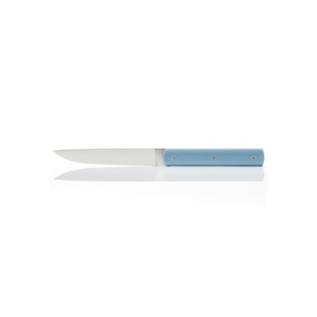Revol 209888 Perceval Table Knife 888 High End And Resistant Steel Blade Non Serrated