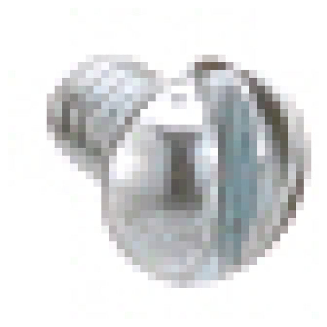 AllPoints 951921 Screw 6/32 1/4" Round Slot