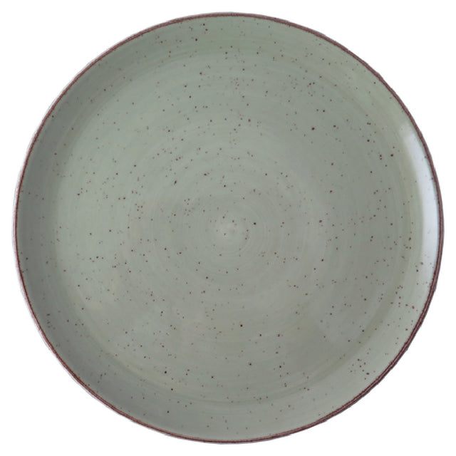 Tableware Solutions USA 29FUS334-02 Plate 10-3/4" Round