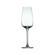 Hospitality Brands HGC60290-006 Hospitality Brands Lotus Champagne Glass 10.5 Oz.