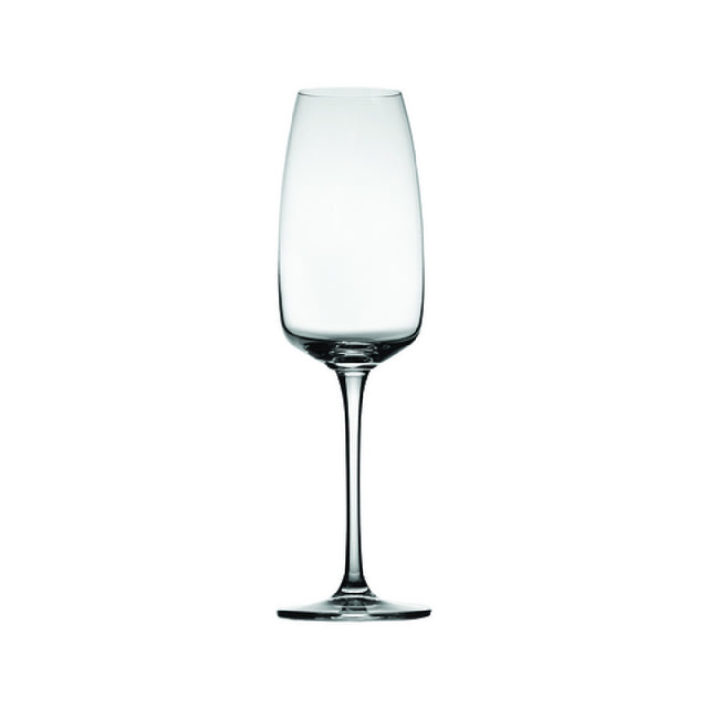 Hospitality Brands HGC60290-006 Hospitality Brands Lotus Champagne Glass 10.5 Oz.