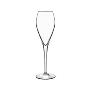 Steelite LB1041202 - Champagne Flute, 6.75 Oz, 2.75" X 8.75"