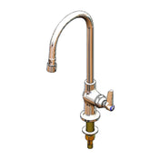 T&S Brass B-0305-VF22 Pantry Faucet Single Deck Mount
