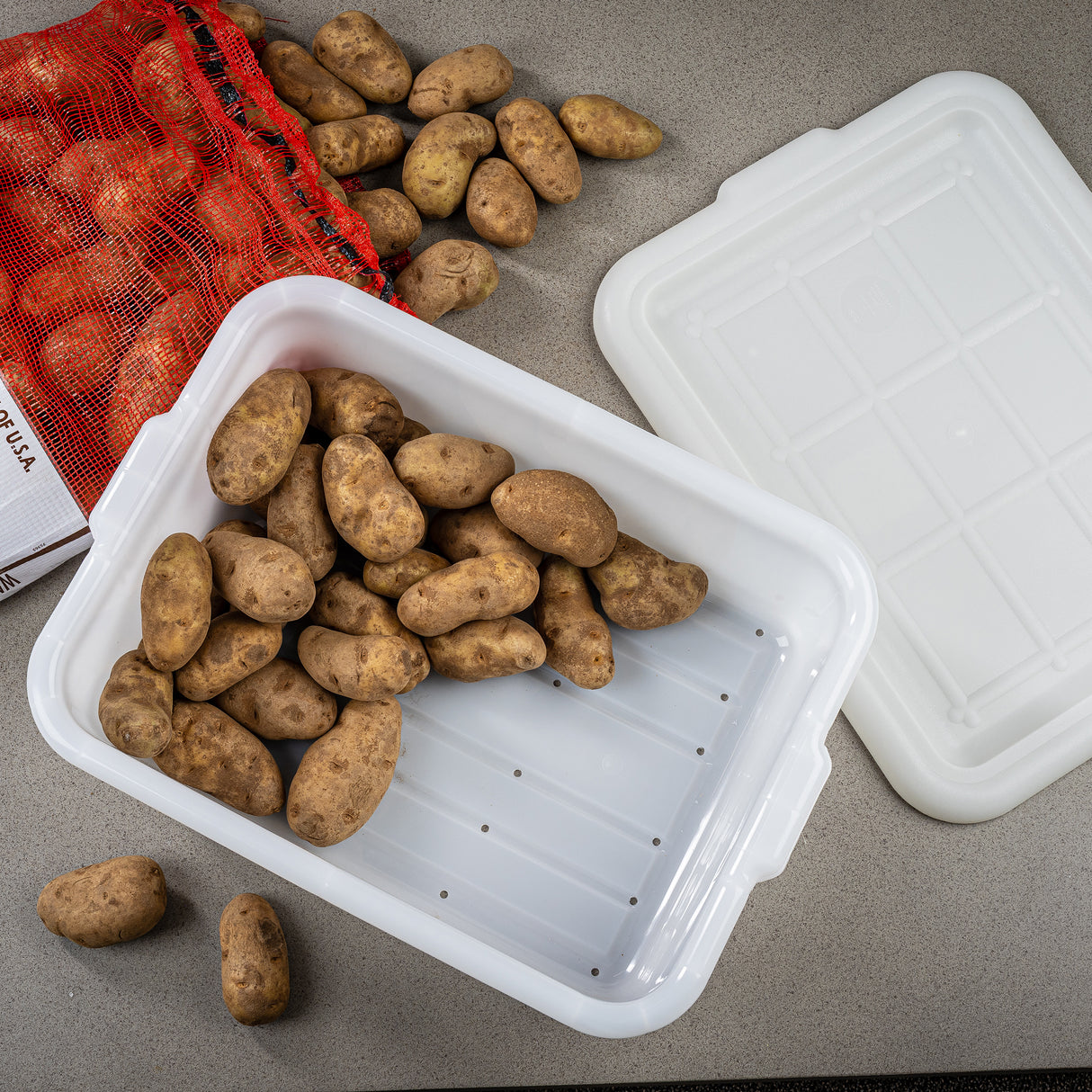 A group of small brown potatoes spill from a red mesh bag into a white high density polyethylene tote box with a matching lid nearby. The items rest on a gray countertop, some potatoes in the box, others beside the bag.