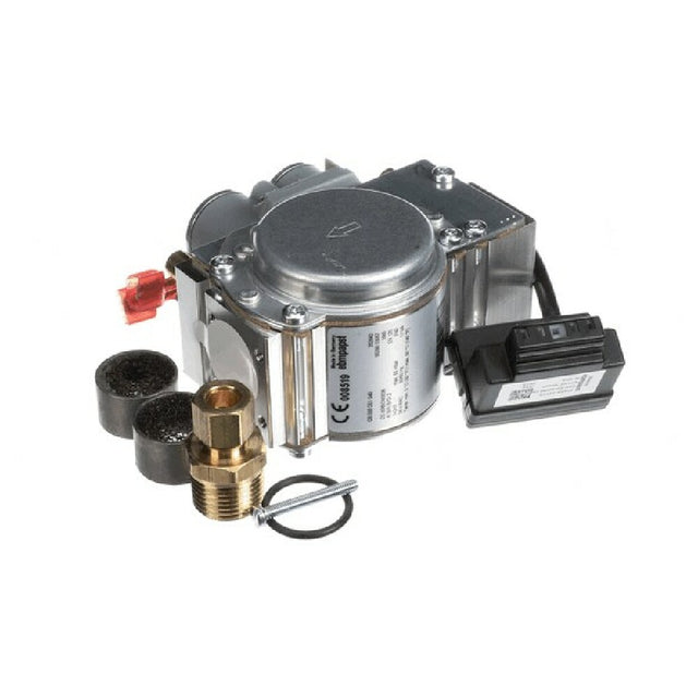 AllPoints F31019 Gas Valve & Rectifier