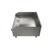 The Globe GEG24 is a stainless steel electric countertop griddle featuring a smooth, flat cooking surface, slightly raised sides, and short legs. This commercial kitchen appliance is photographed against a plain white background.