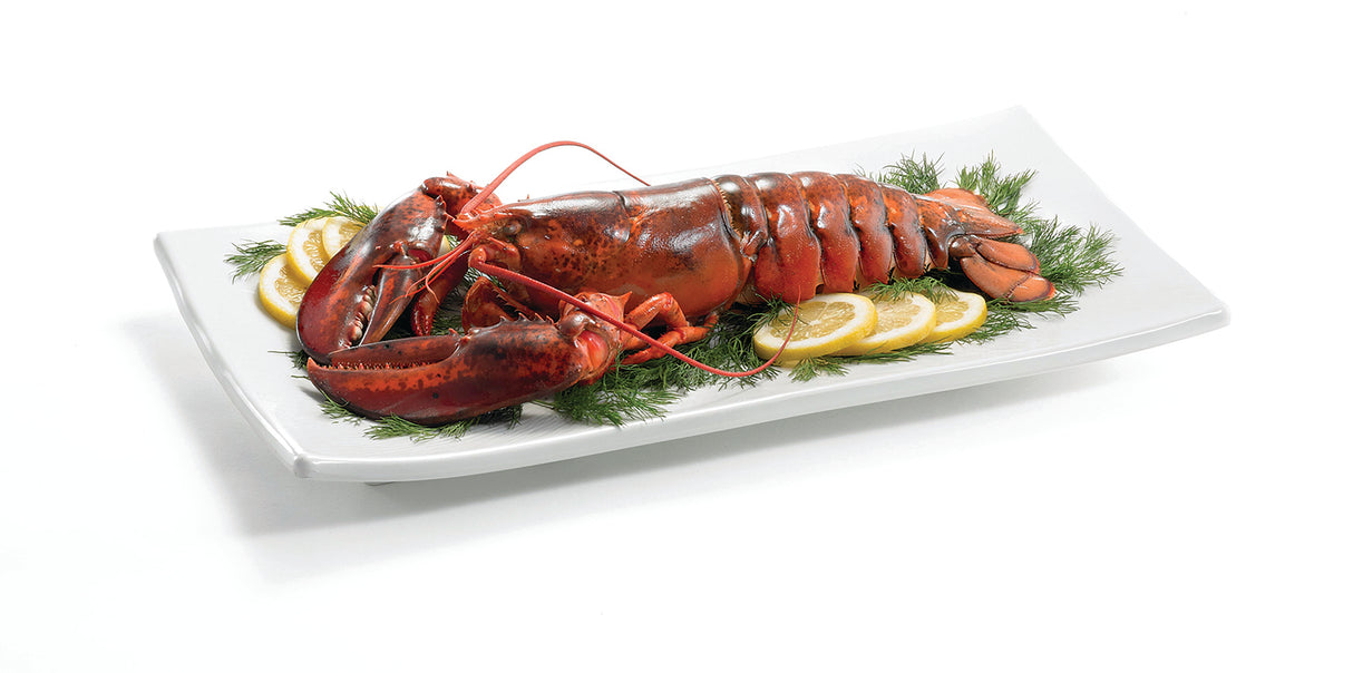 A whole cooked lobster sits on a rectangular white Frostone Collection Dish, garnished with sprigs of fresh dill and lemon slices. The bright red lobster is arranged neatly, claws forward, on this dishwasher safe melamine dish.