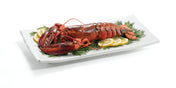 A whole cooked lobster sits on a rectangular white Frostone Collection Dish, garnished with sprigs of fresh dill and lemon slices. The bright red lobster is arranged neatly, claws forward, on this dishwasher safe melamine dish.