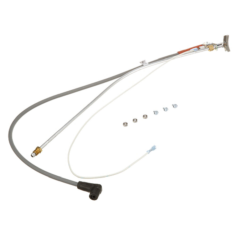 Frymaster 1061839SP Assy Pilot Nat E Ig Con Trl