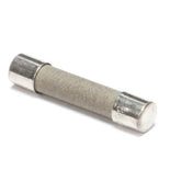 Manitowoc 2511493 Fuse 10 Amp