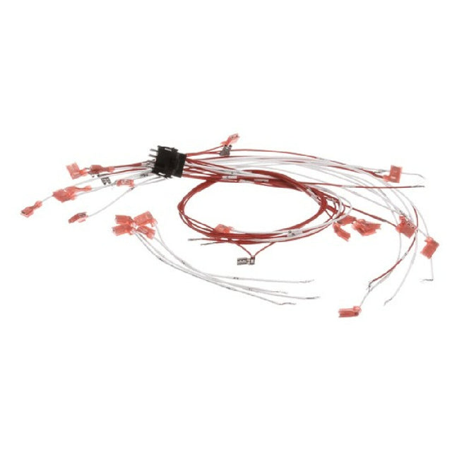Vulcan Hart 424198-000G1 Wire Set Assy.