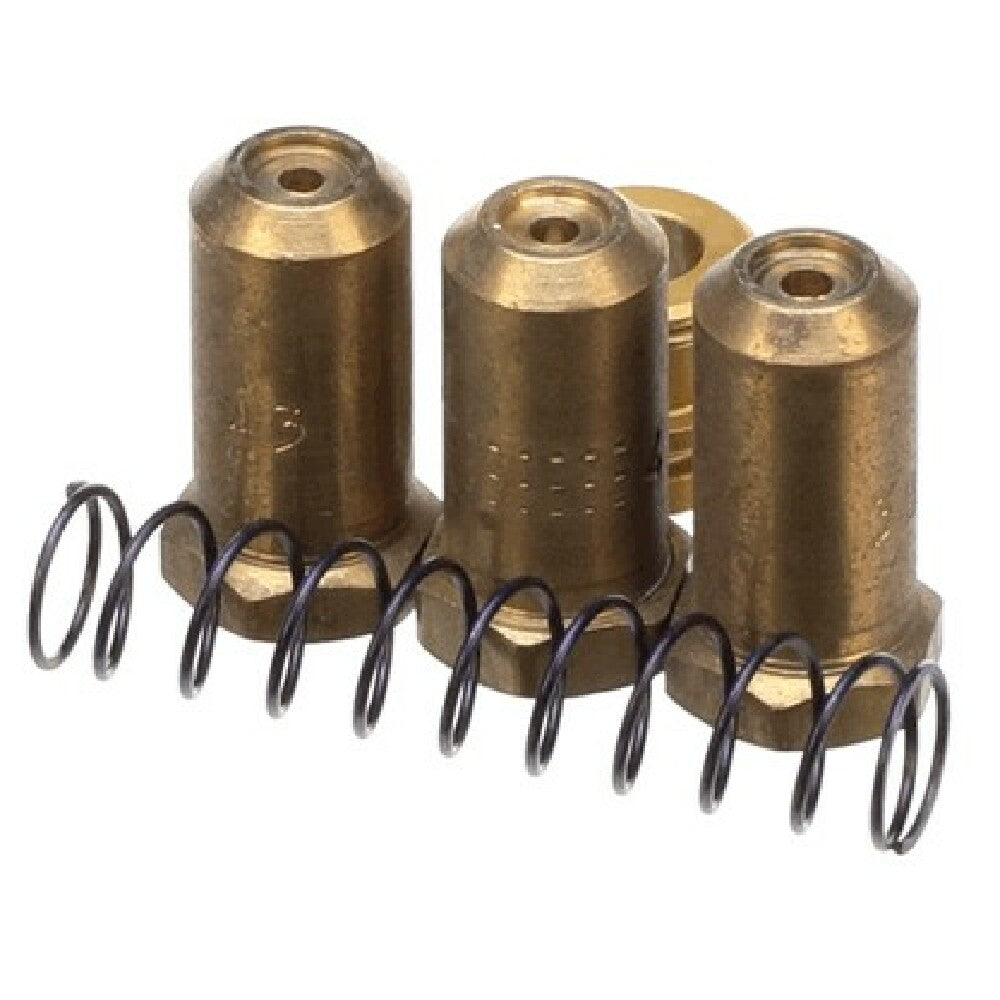 Alto-Shaam 5008903 Kit Gas Conversionnat T O Lp Ar 6g
