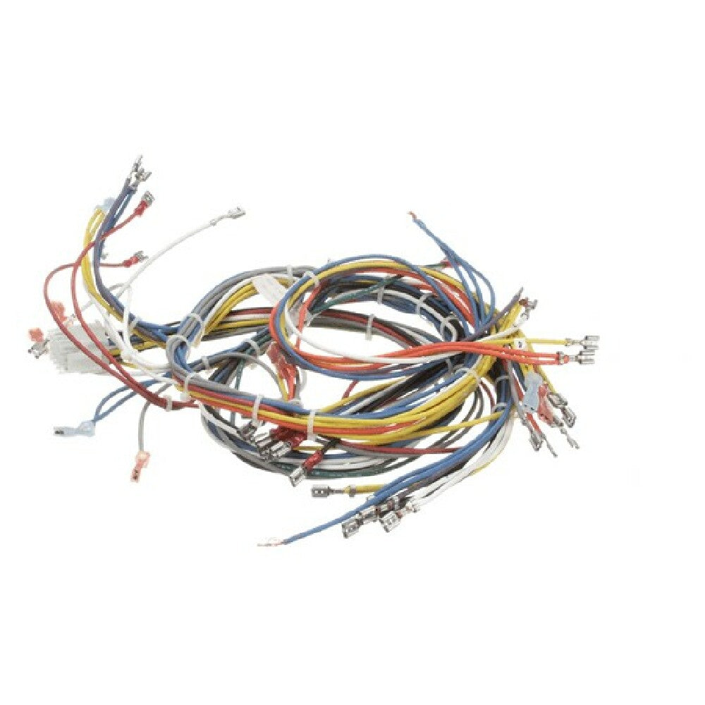 Blodgett 20018 Harness Wiring Inf 2sp