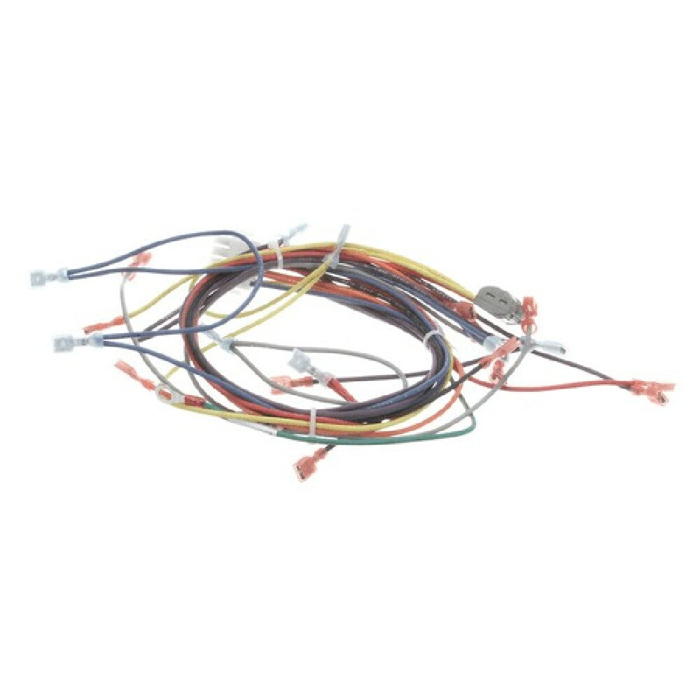 Blodgett 21056 Harness Wiring Control Panel
