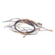 Blodgett 21056 Harness Wiring Control Panel