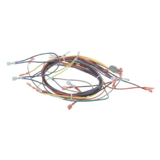 Blodgett 21056 Harness Wiring Control Panel