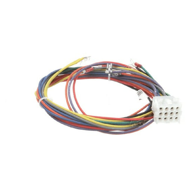 Blodgett 21058 Harness Wiring Control Comp