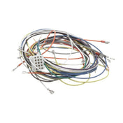 Blodgett 19303 Harness Wiring Inf/8/3/ 1 Stpt