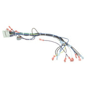 Blodgett 39235 Harness Cntl Sh1g/zephg 2spd