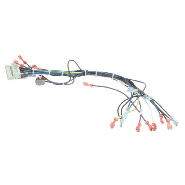 Blodgett 39235 Harness Cntl Sh1g/zephg 2spd