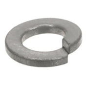 Garland F258 Lockwasher 5/16 S/s Spli T