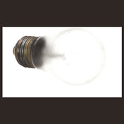 Delfield 2194281 Bulb Light Tuff Skin 2 20v