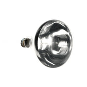 Anets P913004 Lamp Irheat 250w/120v W Ht/frs