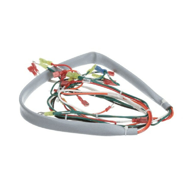 Groen 148503 Wiring Harness Controls Ee 20 40