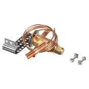 Kolpak 955A Exp Vlv Aaei 1/4 Sw35 Gt 5797