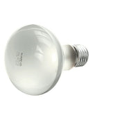 Star Mfg 2SY8091 Lamp 75w230ce 240ve Only