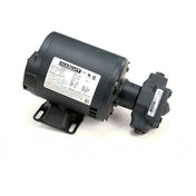 Pitco 60130807 Pmp 5 Gpm W/mot 1/3hp 2 40v