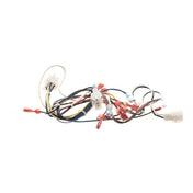 Pitco B6781601 Wrg Contl Box Srtg Srt E