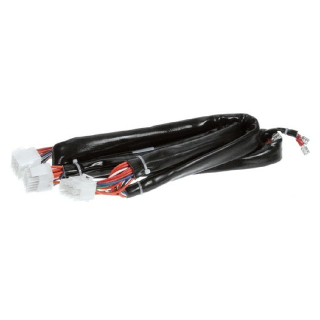 Frymaster 8074195 Harness Re Dv Controls