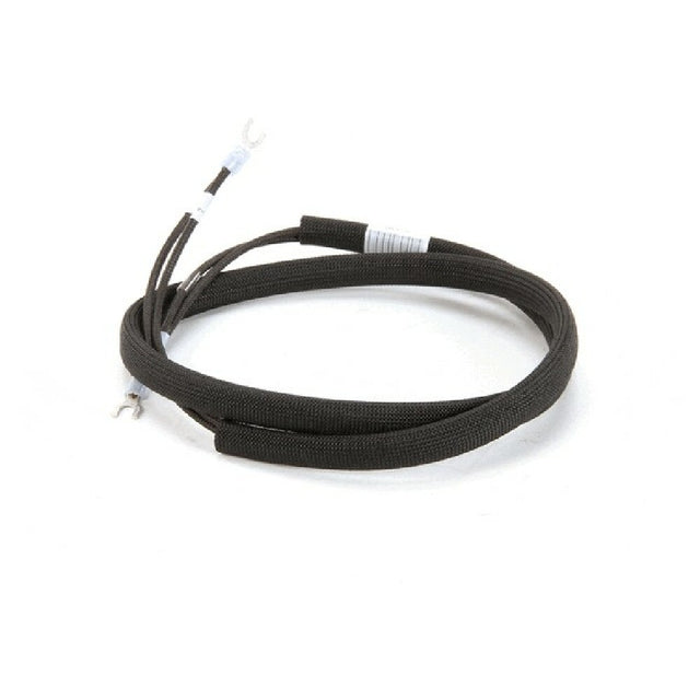 Southbend 1189813 Wire Harness Standing P Ilot St