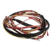 Groen 123779 Harness Wiring Kettle C Ontrol