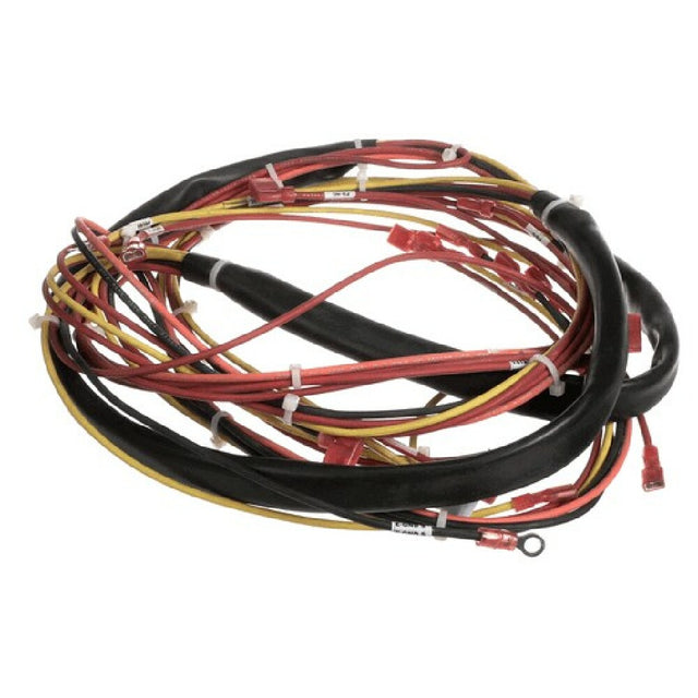 Groen 123779 Harness Wiring Kettle C Ontrol